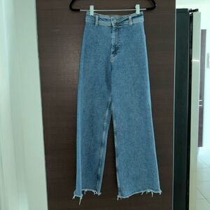 Zara wide leg jean